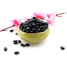 Hot Sale Dried Black Kidney Bean / Black Beans With HPS 500-550 pcs for 100g
